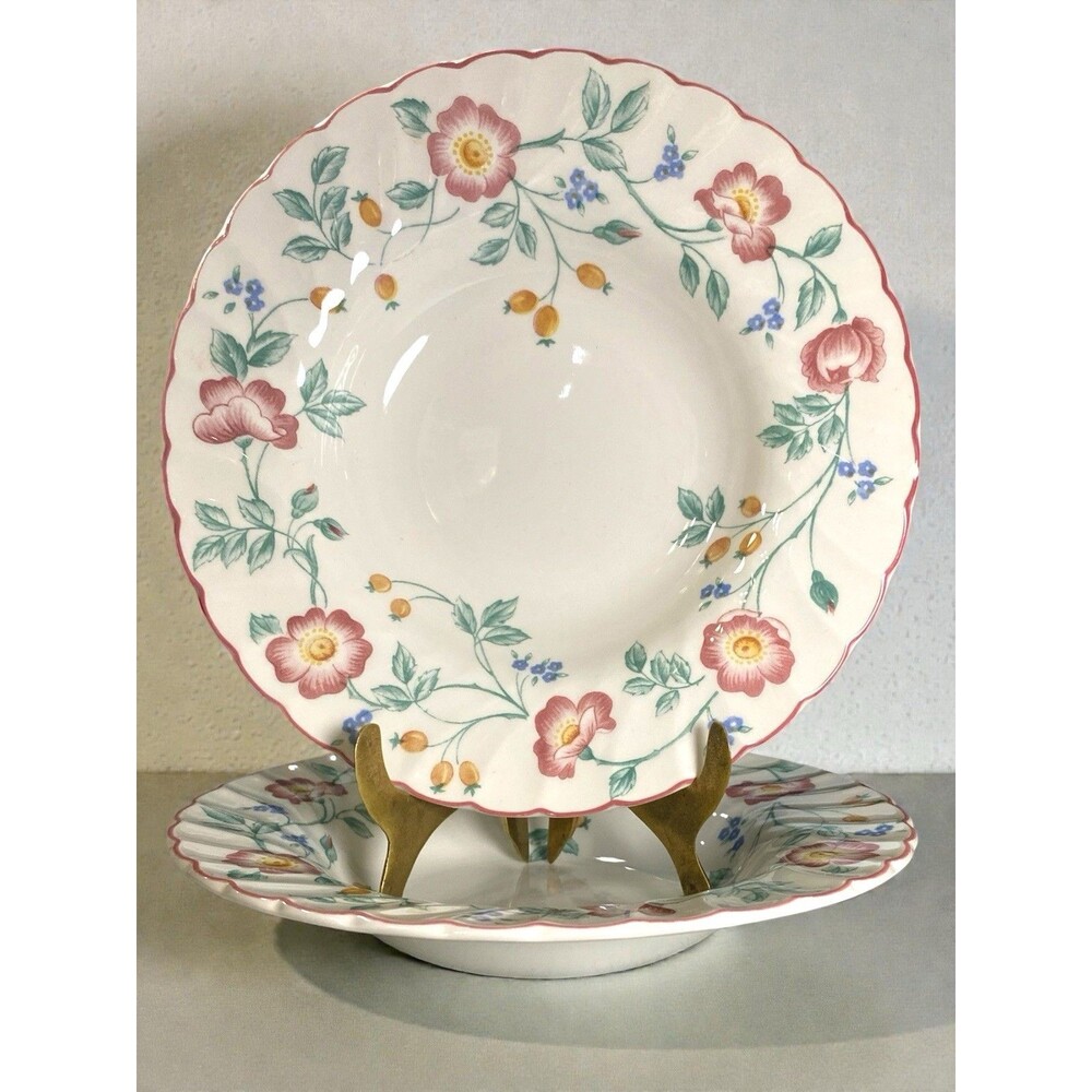 Vtg Churchill Briar Rose Rimmed Soup Bowls Set of 2 Staffordshire England 8.75”